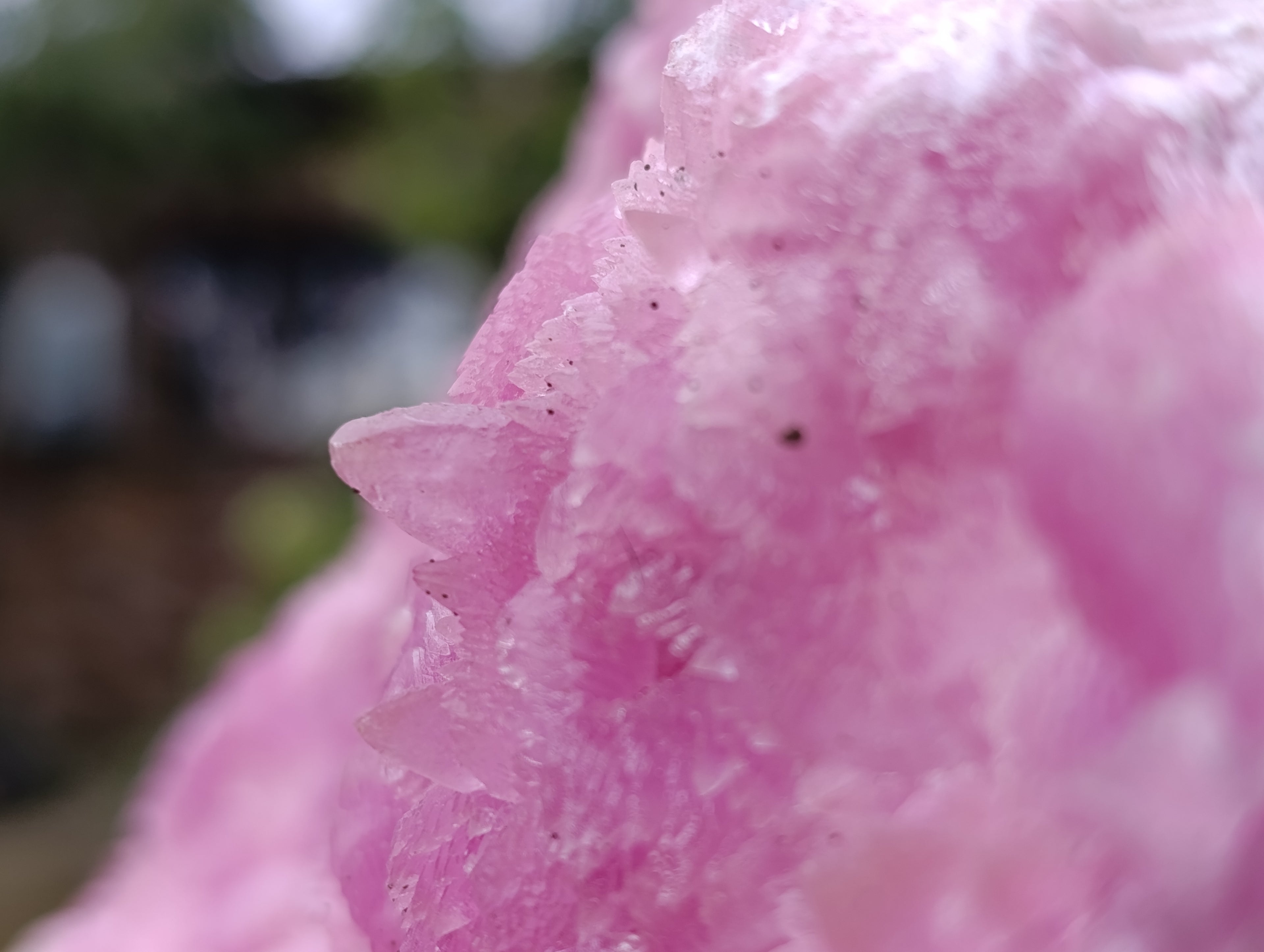 Natural Super Rare XXL Pink Rhodocalcite Specimen x 1 From Mashamba West, Congo
