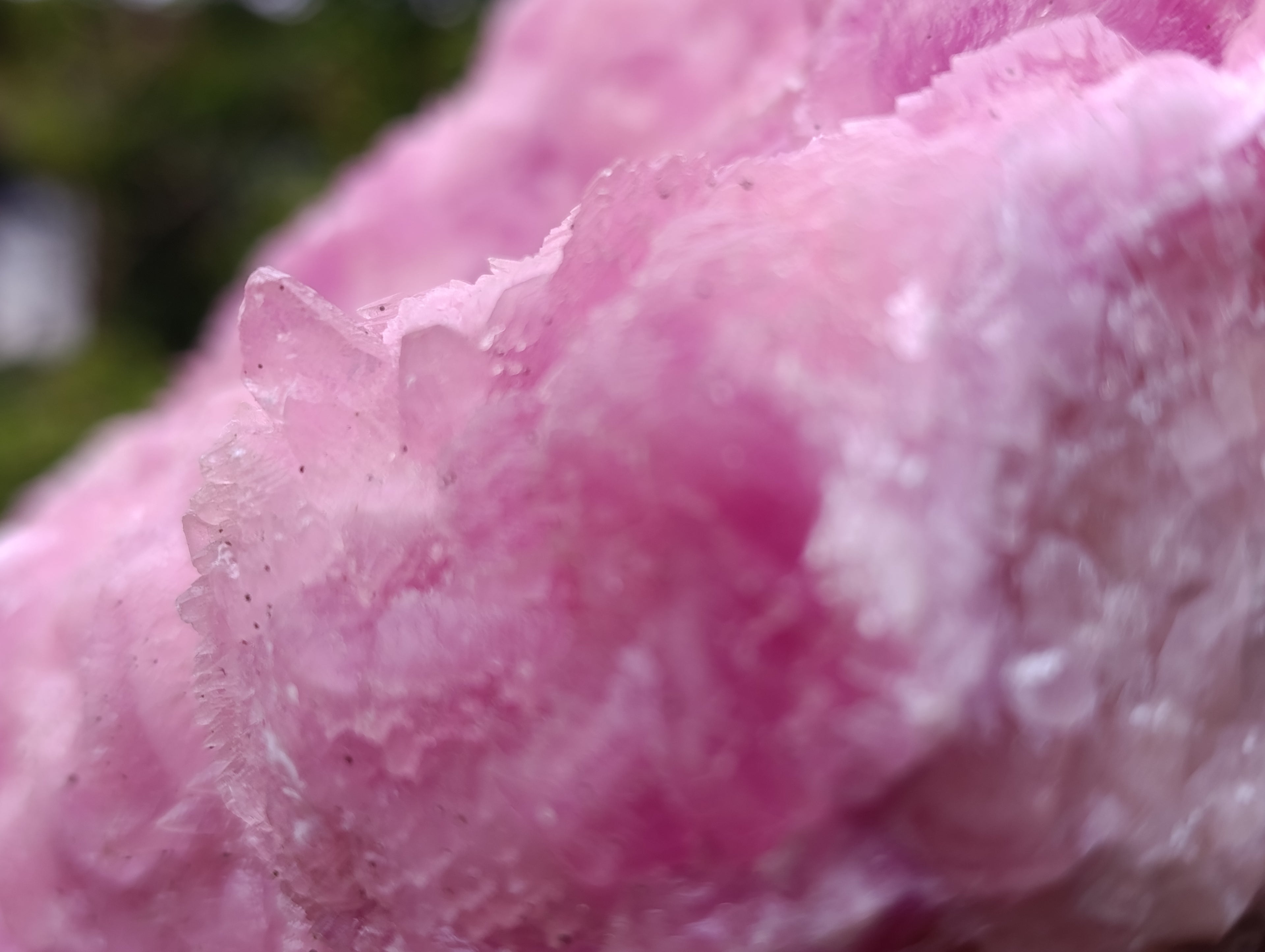 Natural Super Rare XXL Pink Rhodocalcite Specimen x 1 From Mashamba West, Congo