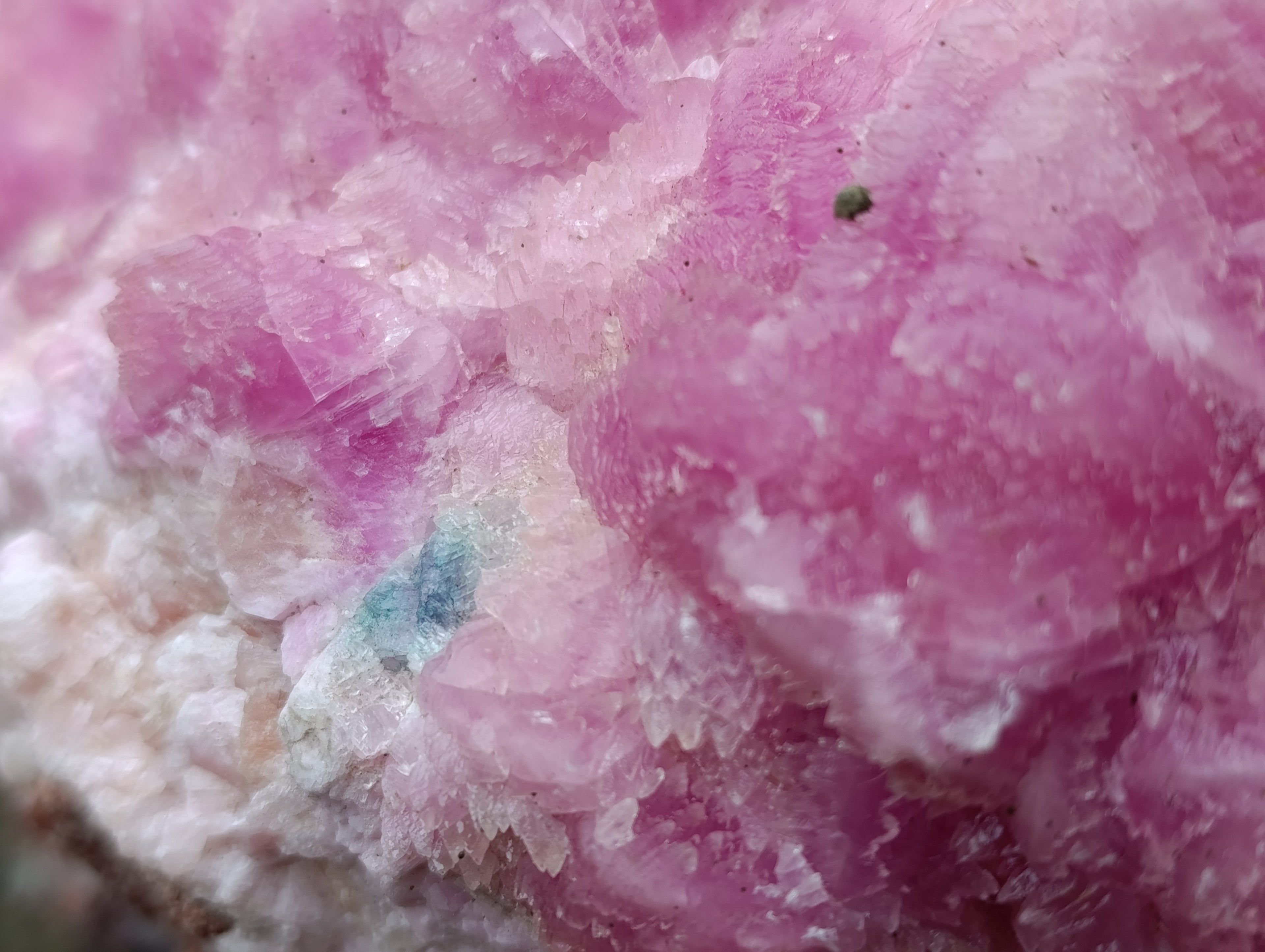 Natural Super Rare XXL Pink Rhodocalcite Specimen x 1 From Mashamba West, Congo