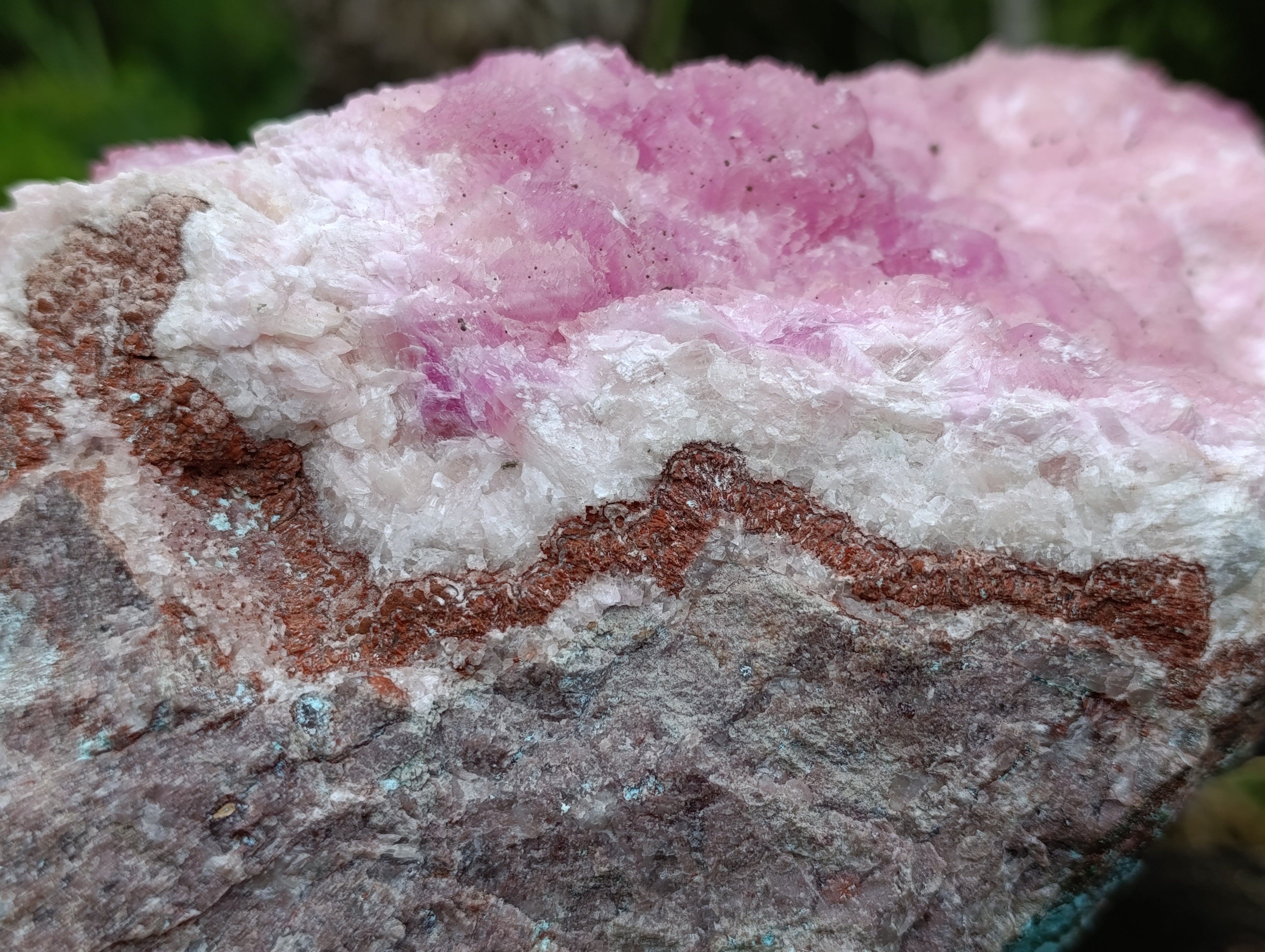 Natural Super Rare XXL Pink Rhodocalcite Specimen x 1 From Mashamba West, Congo