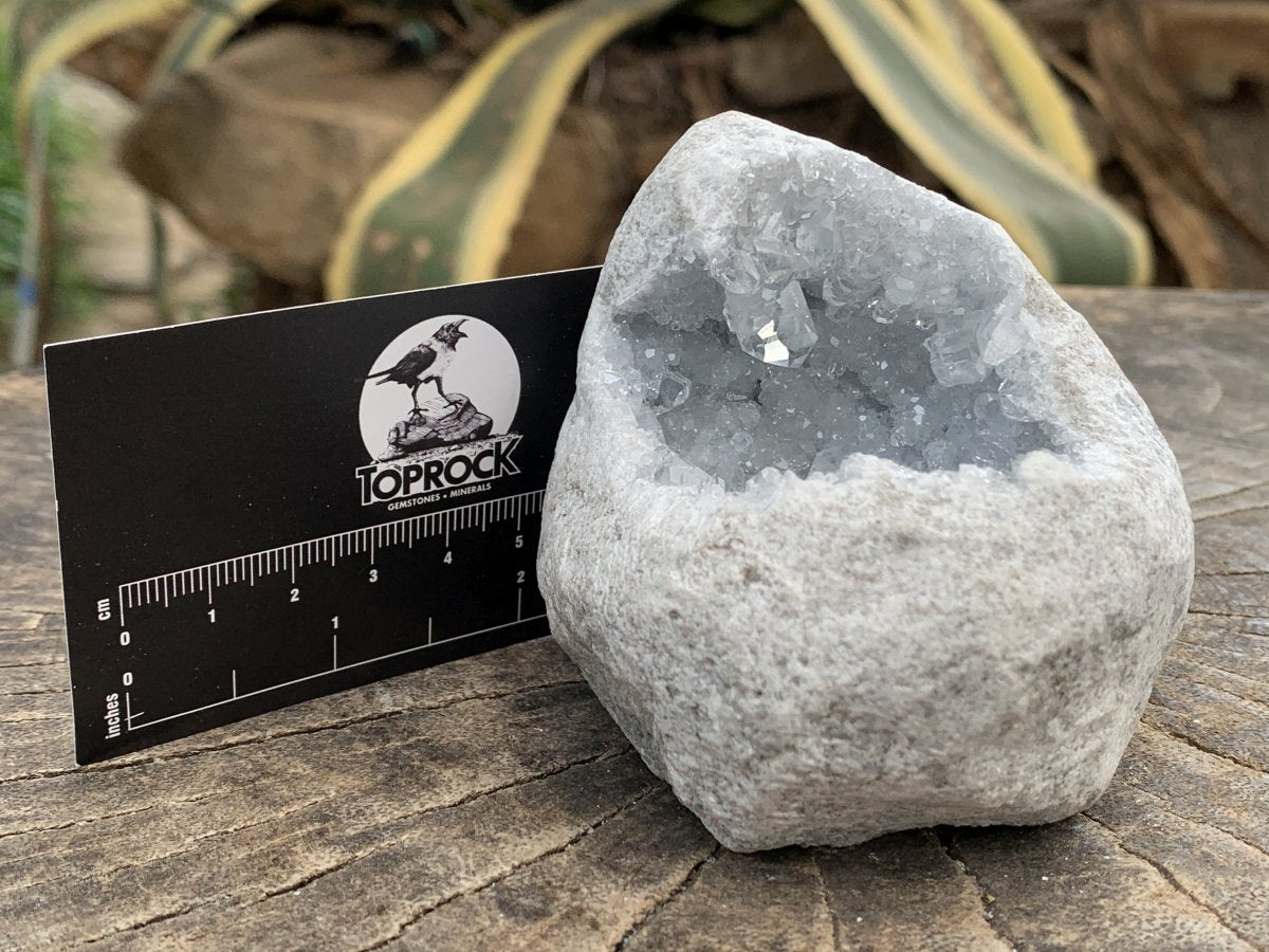 Natural Mini Celestite Geode x 1 From Sakoany, Madagascar