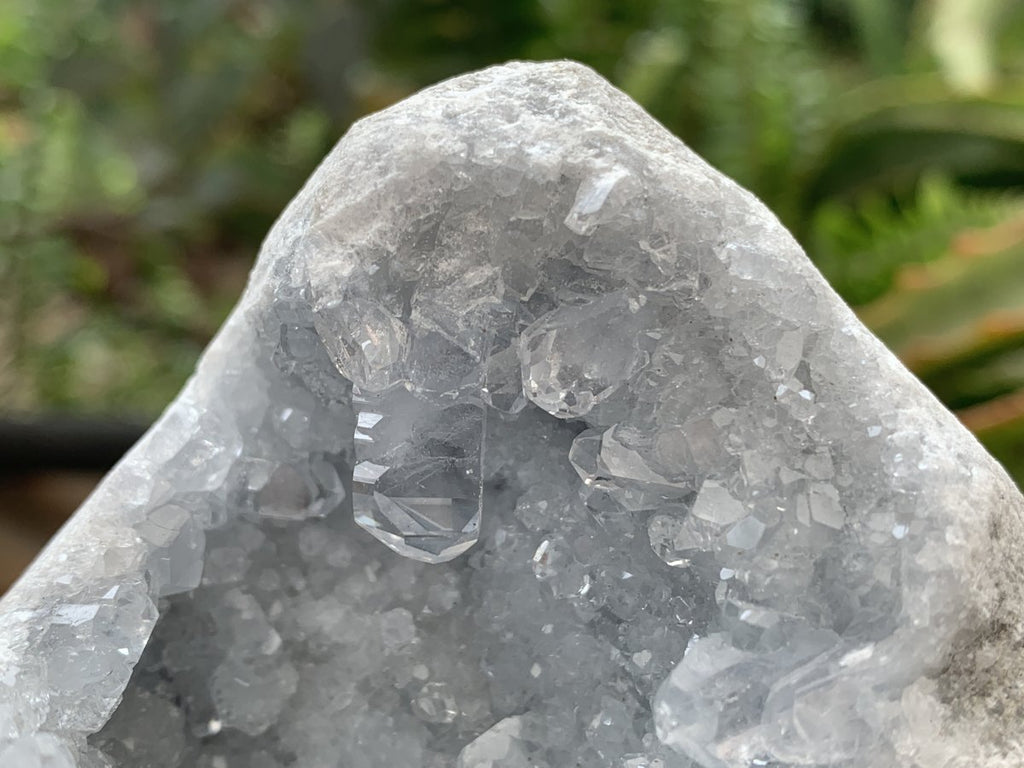 Natural Mini Celestite Geode x 1 From Sakoany, Madagascar