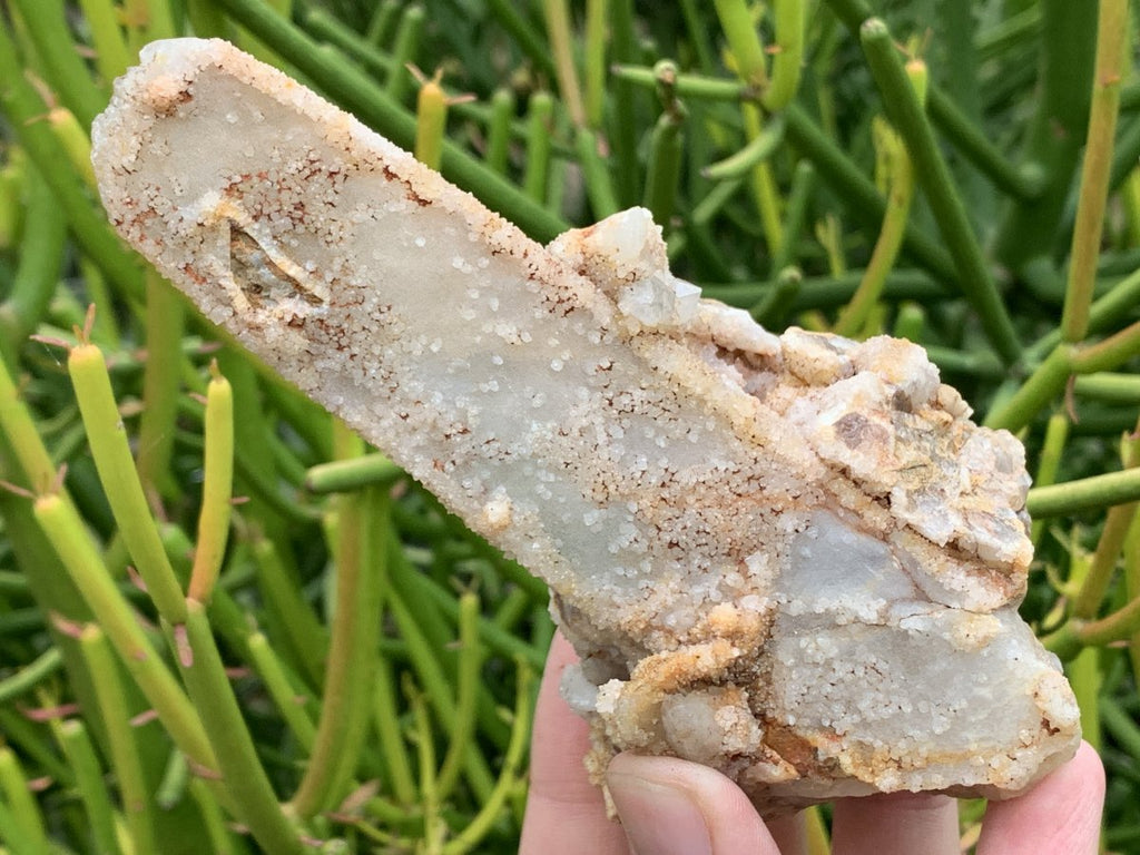 Natural Tabular "Ice Cream Wafer" Drusy Spirit Quartz Specimen x 1 From Boekenhouthoek, South Africa
