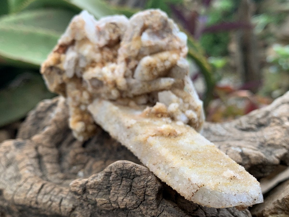Natural Tabular "Ice Cream Wafer" Drusy Spirit Quartz Specimen x 1 From Boekenhouthoek, South Africa