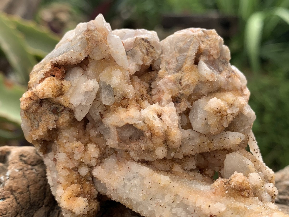 Natural Tabular "Ice Cream Wafer" Drusy Spirit Quartz Specimen x 1 From Boekenhouthoek, South Africa