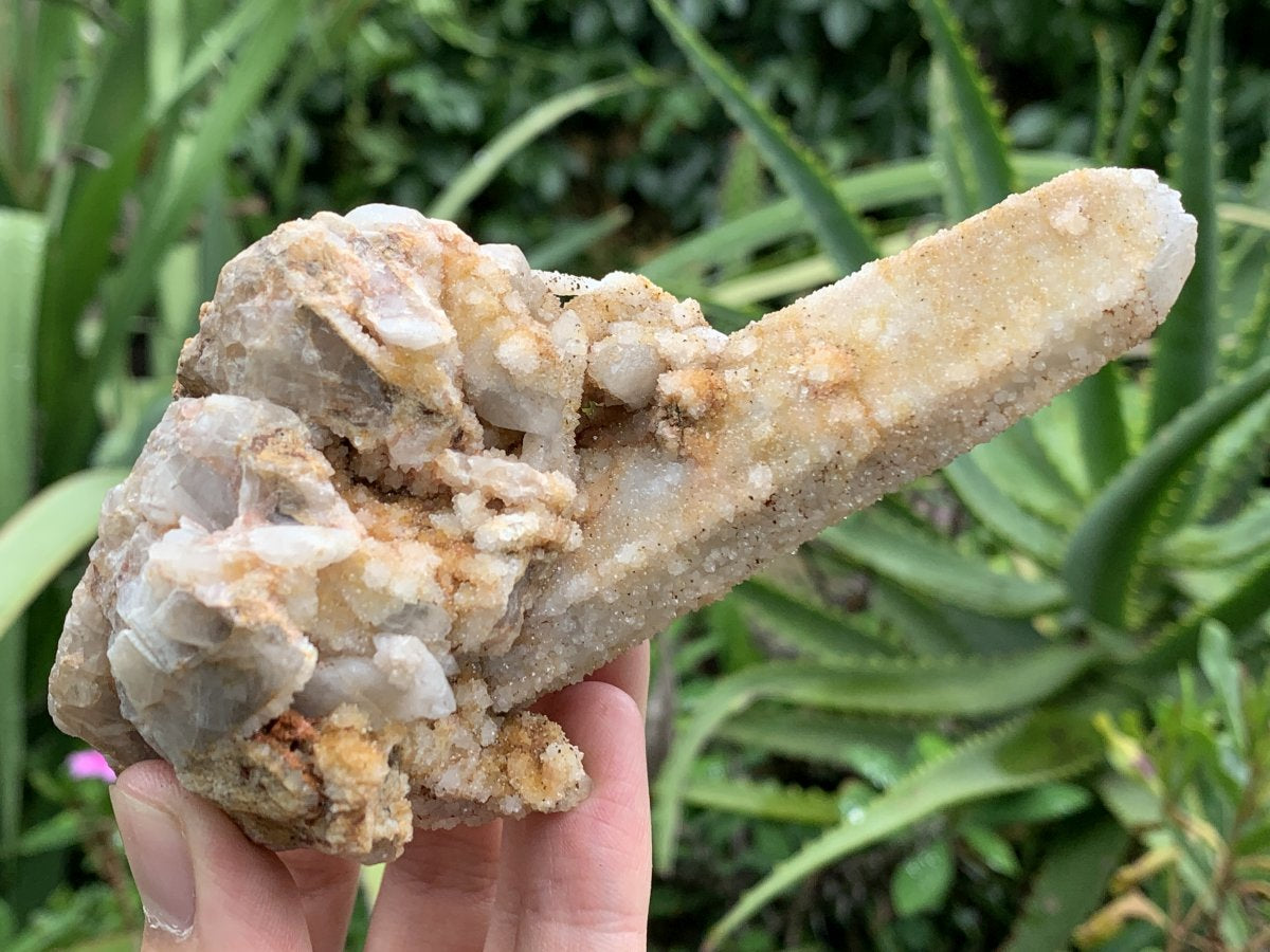 Natural Tabular "Ice Cream Wafer" Drusy Spirit Quartz Specimen x 1 From Boekenhouthoek, South Africa