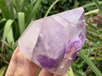 Polished and Natural Window Amethyst Crystal x 1 From Akansobe, Madagascar