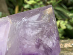 Polished and Natural Window Amethyst Crystal x 1 From Akansobe, Madagascar