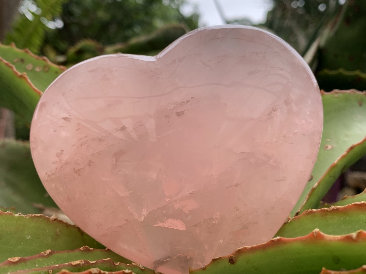 Polished Gemmy Rose Quartz Gemstone Heart x 1 From Madagascar