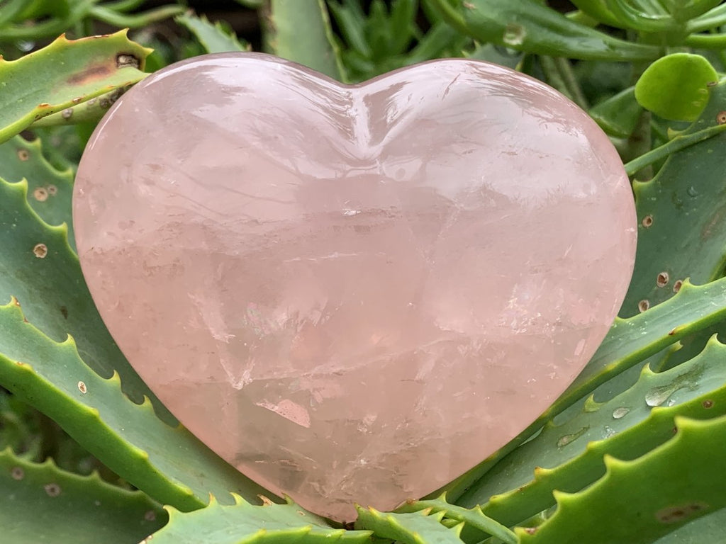 Polished Gemmy Rose Quartz Gemstone Heart x 1 From Madagascar