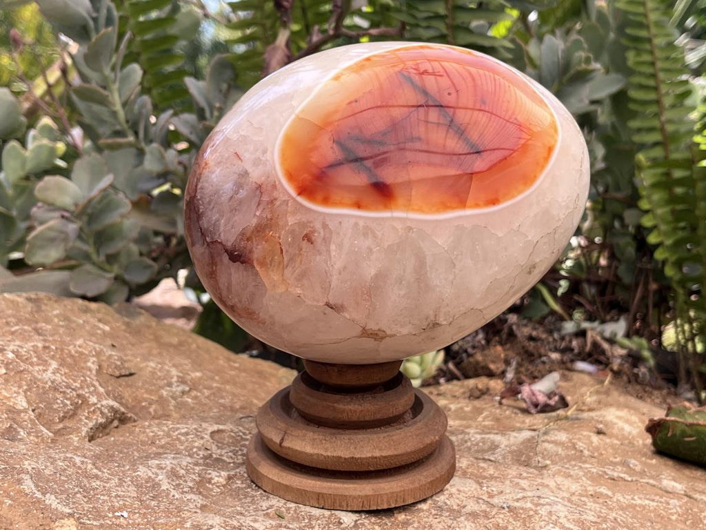 Polished XL Red Spotted Carnelian Gemstone Egg x 1 From Madagascar