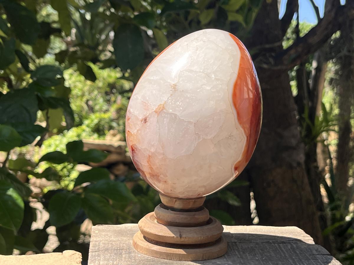 Polished XL Red Spotted Carnelian Gemstone Egg x 1 From Madagascar