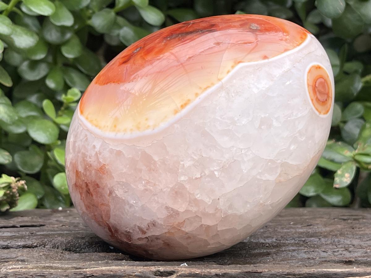 Polished XL Red Spotted Carnelian Gemstone Egg x 1 From Madagascar