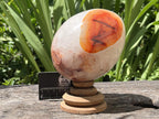 Polished XL Red Spotted Carnelian Gemstone Egg x 1 From Madagascar
