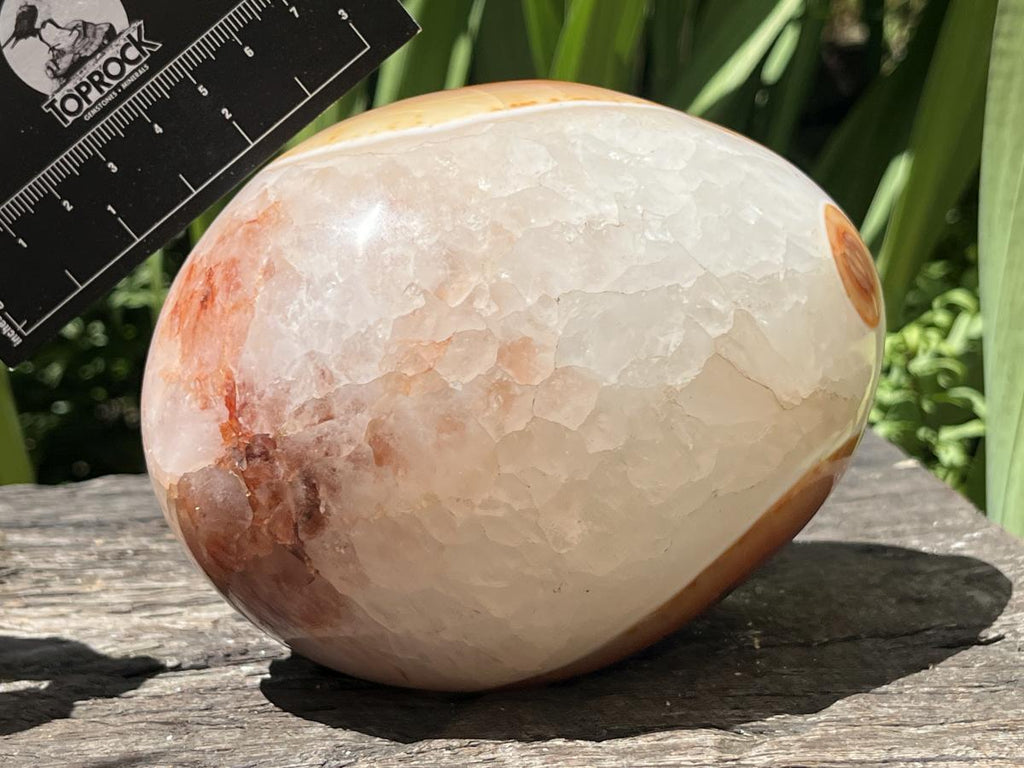 Polished XL Red Spotted Carnelian Gemstone Egg x 1 From Madagascar