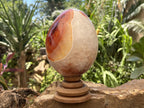Polished XL Red Spotted Carnelian Gemstone Egg x 1 From Madagascar