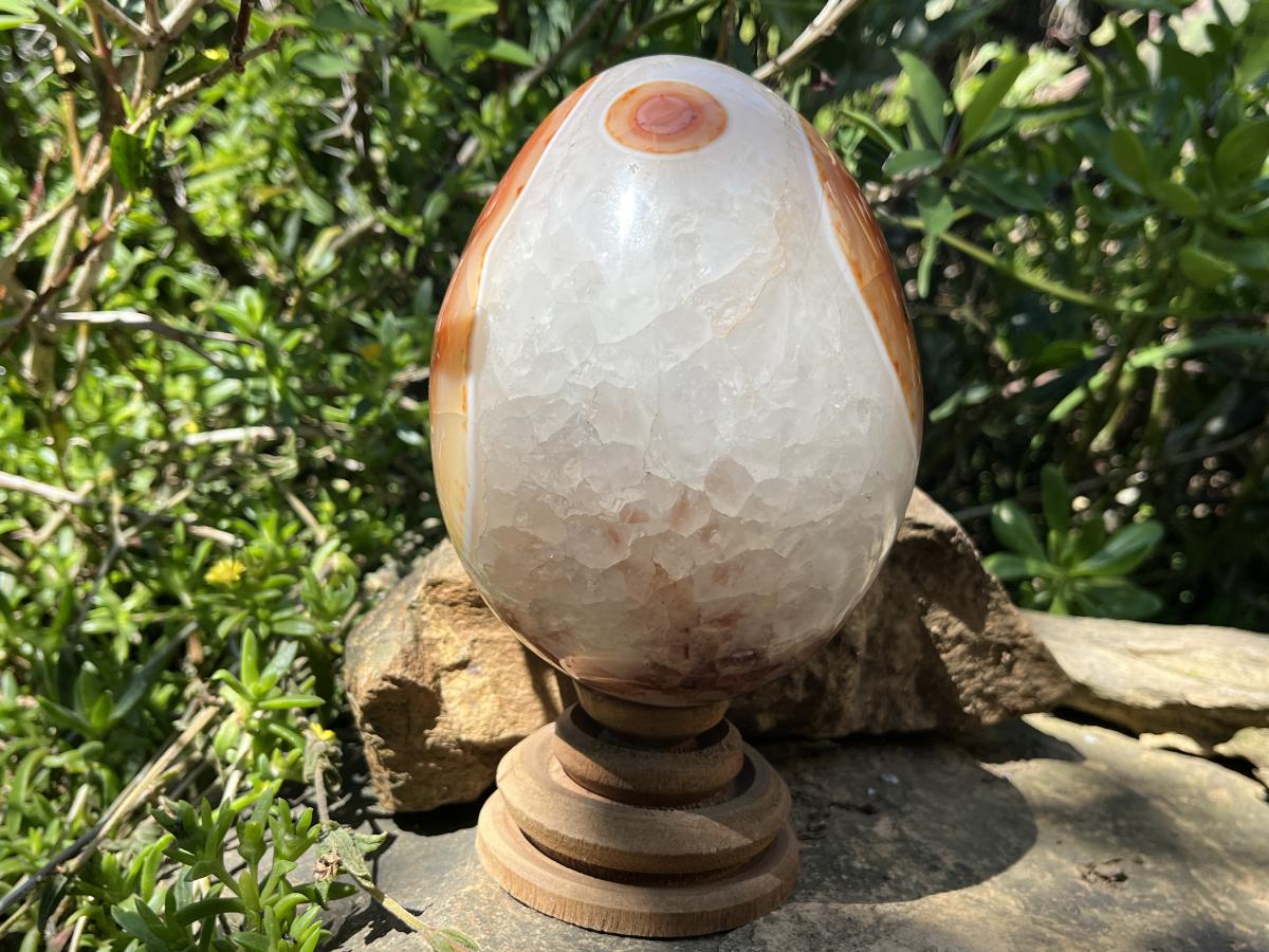 Polished XL Red Spotted Carnelian Gemstone Egg x 1 From Madagascar