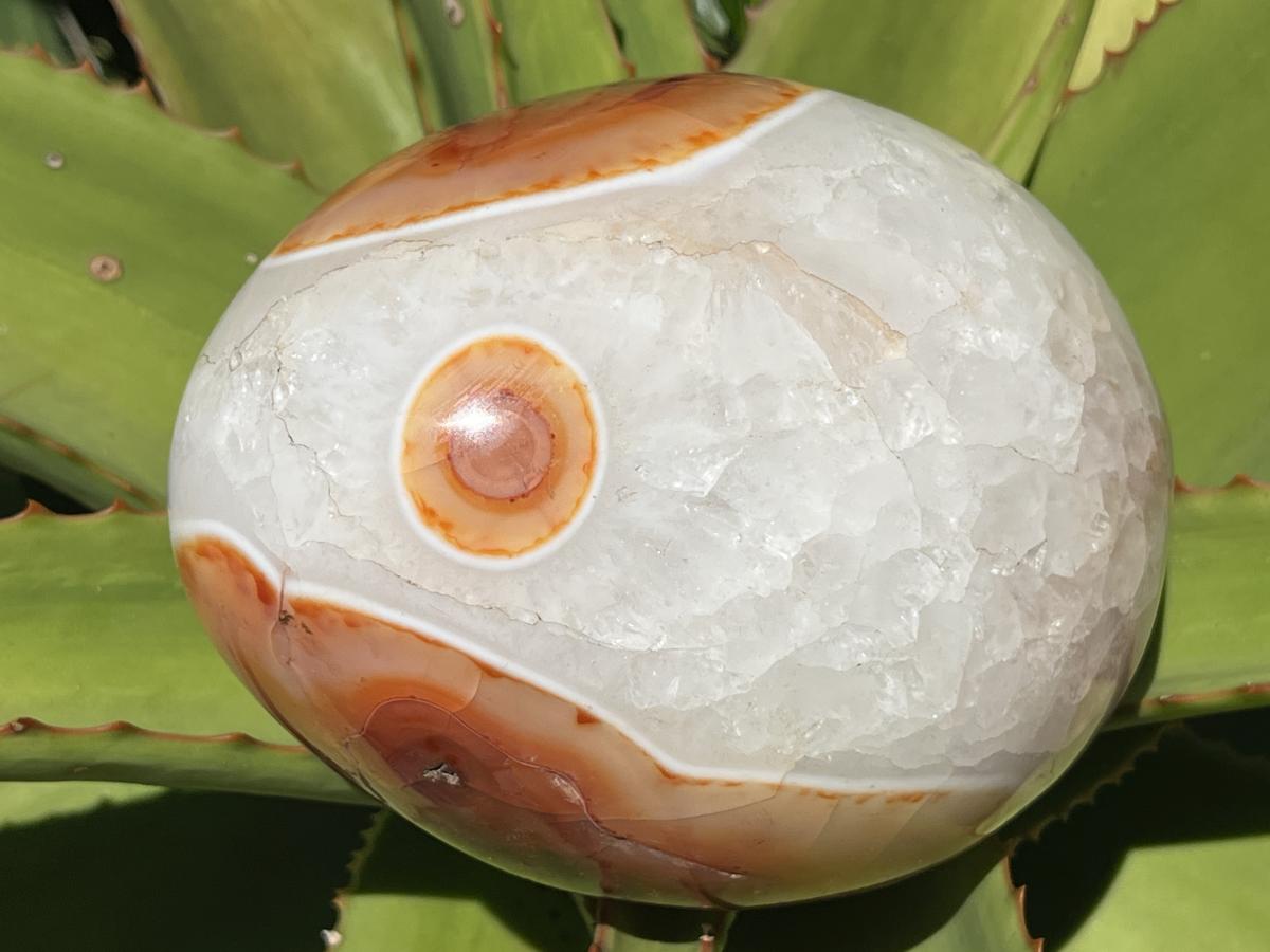Polished XL Red Spotted Carnelian Gemstone Egg x 1 From Madagascar