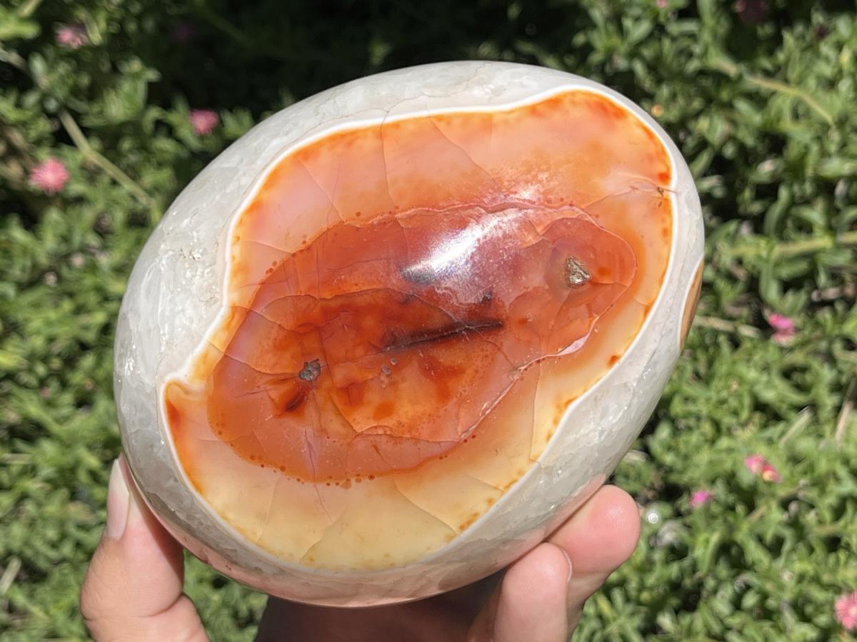 Polished XL Red Spotted Carnelian Gemstone Egg x 1 From Madagascar