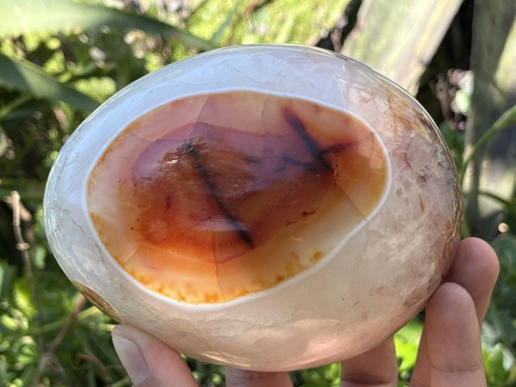 Polished XL Red Spotted Carnelian Gemstone Egg x 1 From Madagascar