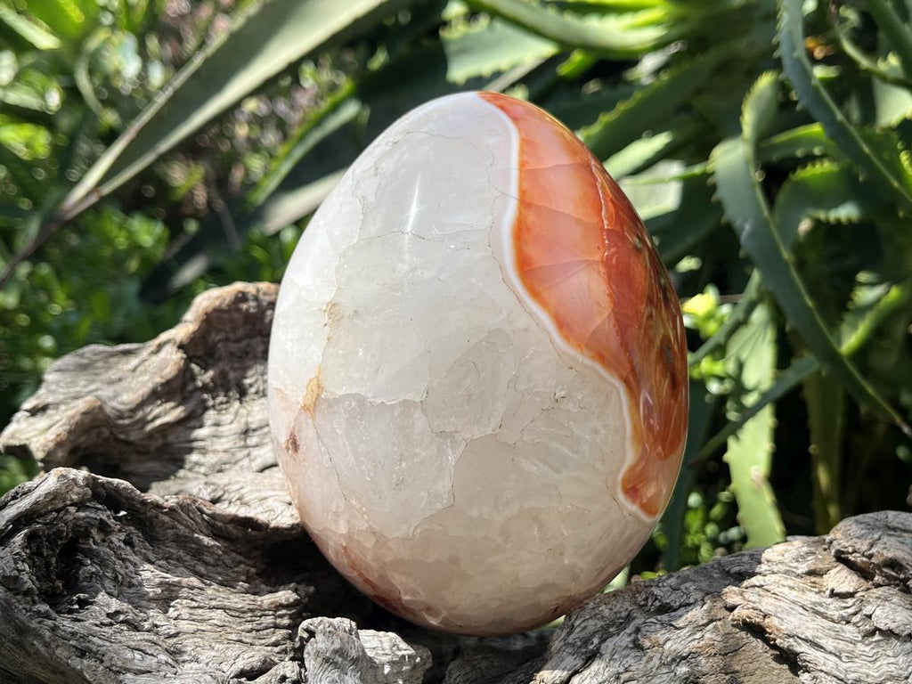 Polished XL Red Spotted Carnelian Gemstone Egg x 1 From Madagascar