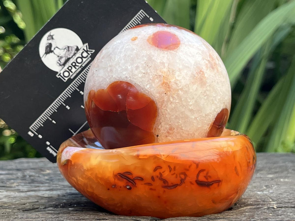 Polished Spotted Carnelian Ball and Crystalline Carnelian Bowl Set x 1 From Madagascar