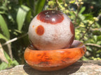 Polished Spotted Carnelian Ball and Crystalline Carnelian Bowl Set x 1 From Madagascar