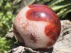Polished Spotted Carnelian Ball and Crystalline Carnelian Bowl Set x 1 From Madagascar