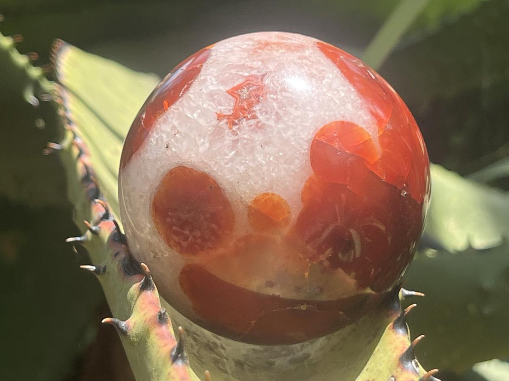 Polished Spotted Carnelian Ball and Crystalline Carnelian Bowl Set x 1 From Madagascar