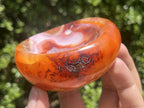 Polished Spotted Carnelian Ball and Crystalline Carnelian Bowl Set x 1 From Madagascar