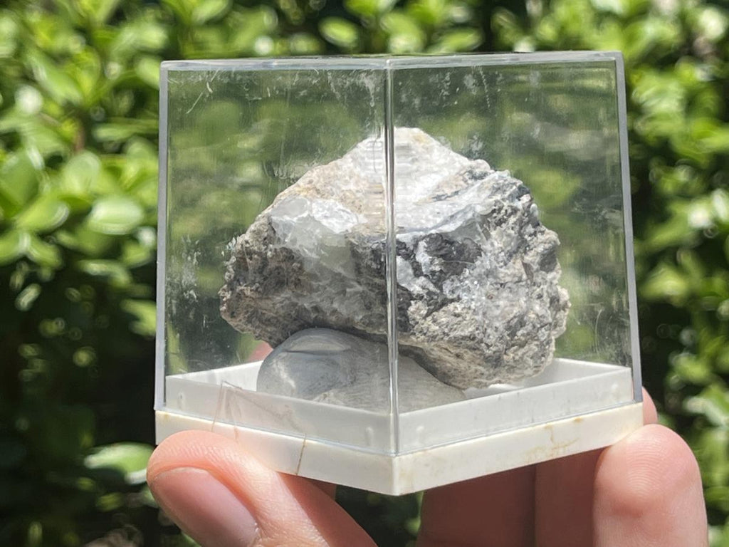 Natural Ultra Rare Skorpionite and Tarbuttite Specimen x 1 From Skorpion Mine, Namibia