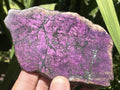 Polished Metallic Sheen Purpurite Specimen x 1 From Erongo, Namibia