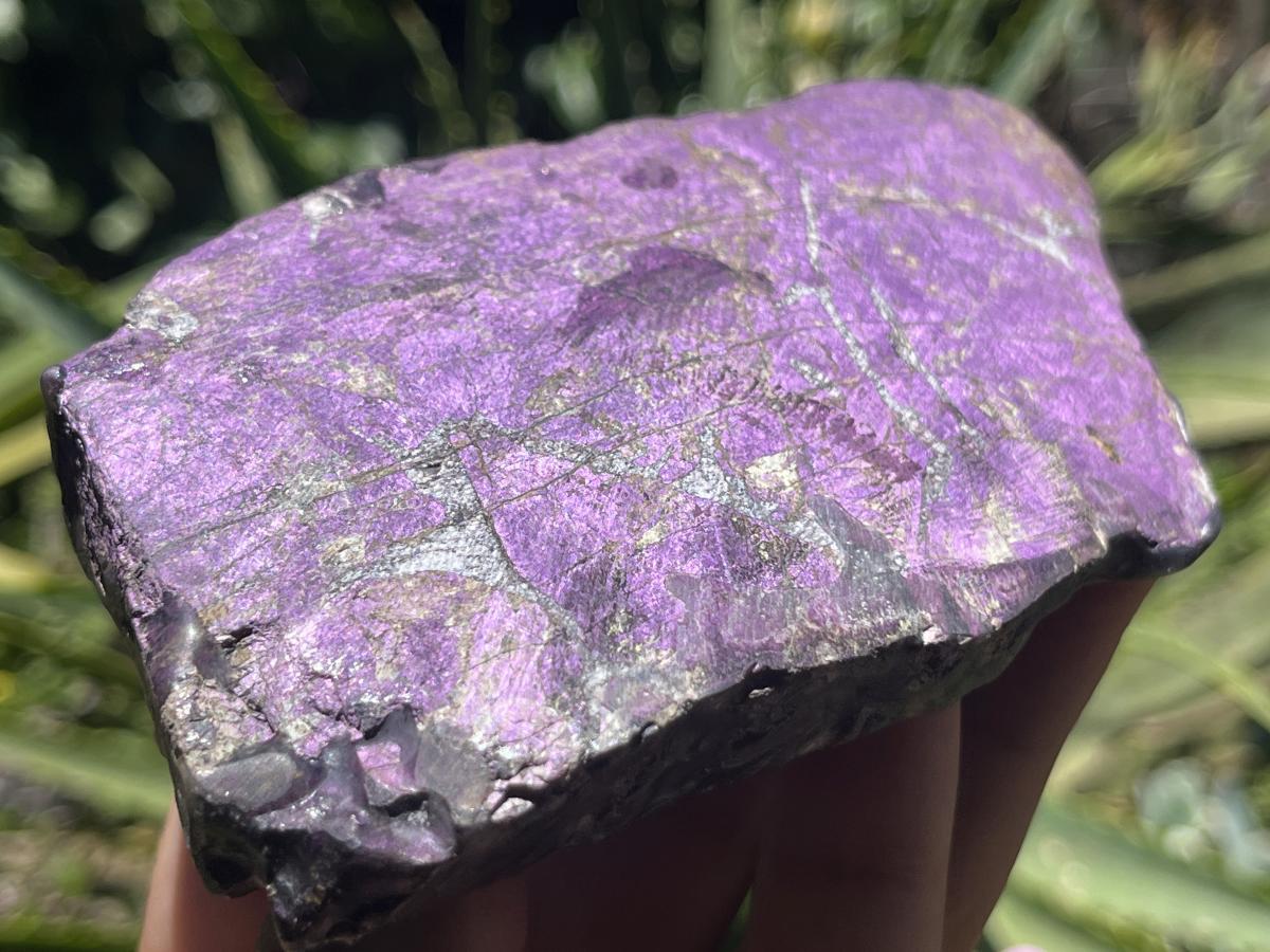 Polished Metallic Sheen Purpurite Specimen x 1 From Erongo, Namibia