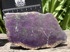 Polished Metallic Sheen Purpurite Specimen x 1 From Erongo, Namibia