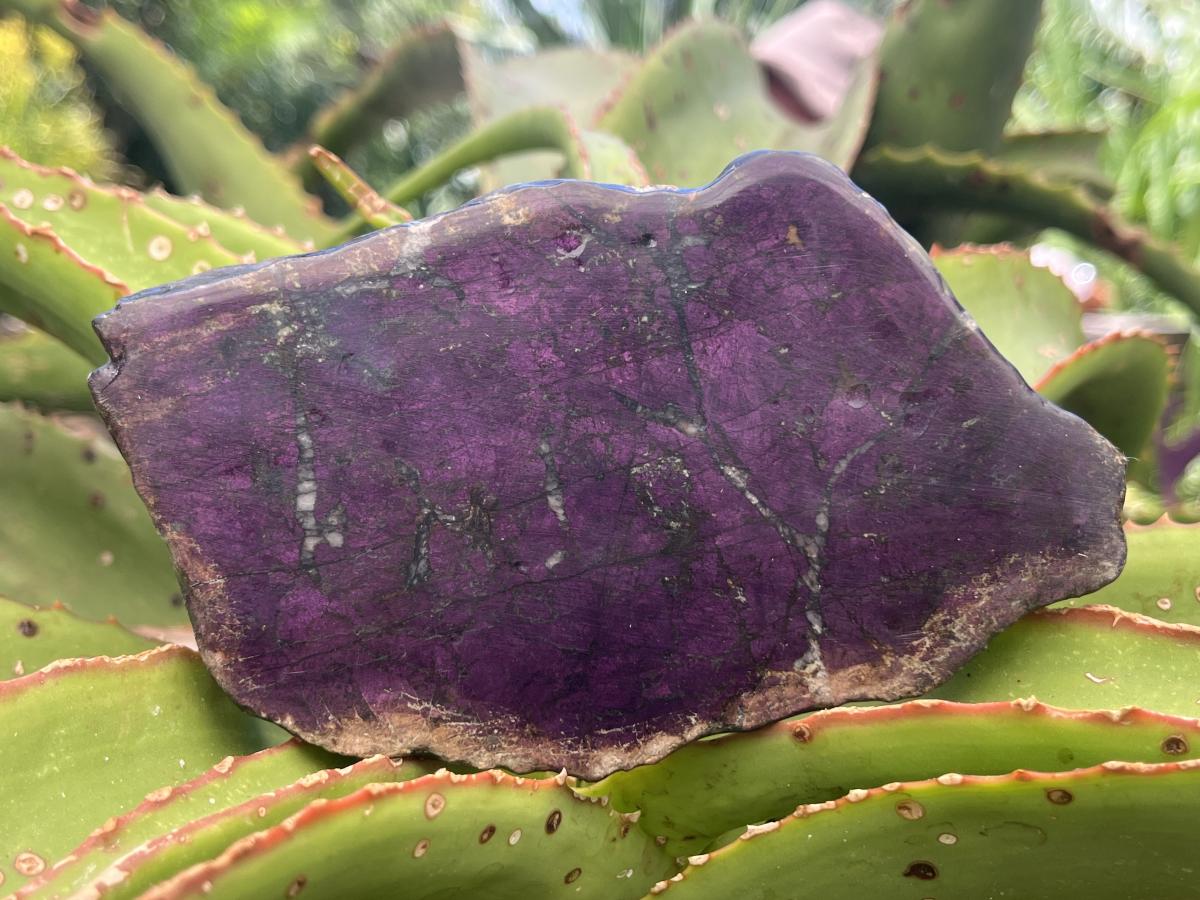 Polished Metallic Sheen Purpurite Specimen x 1 From Erongo, Namibia