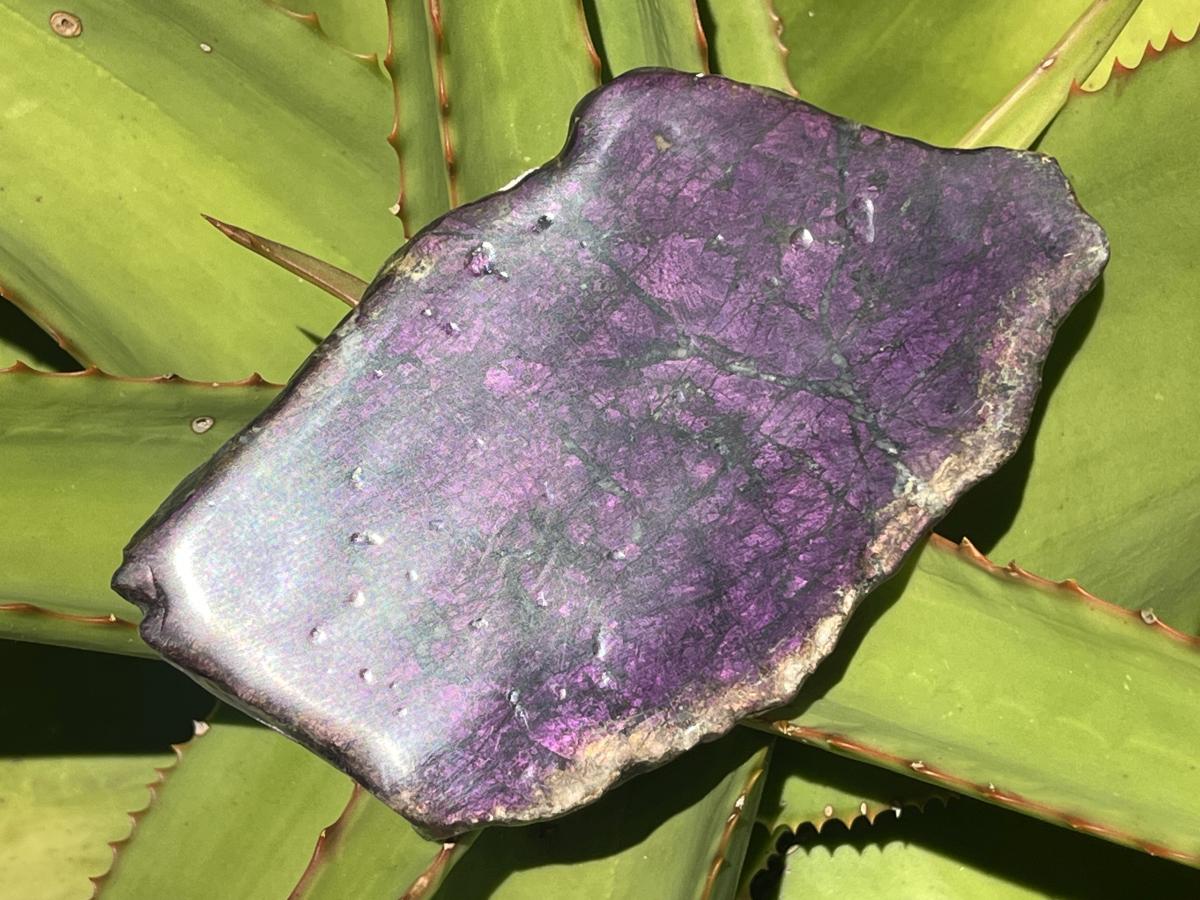 Polished Metallic Sheen Purpurite Specimen x 1 From Erongo, Namibia
