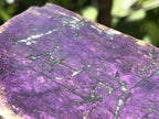 Polished Metallic Sheen Purpurite Specimen x 1 From Erongo, Namibia