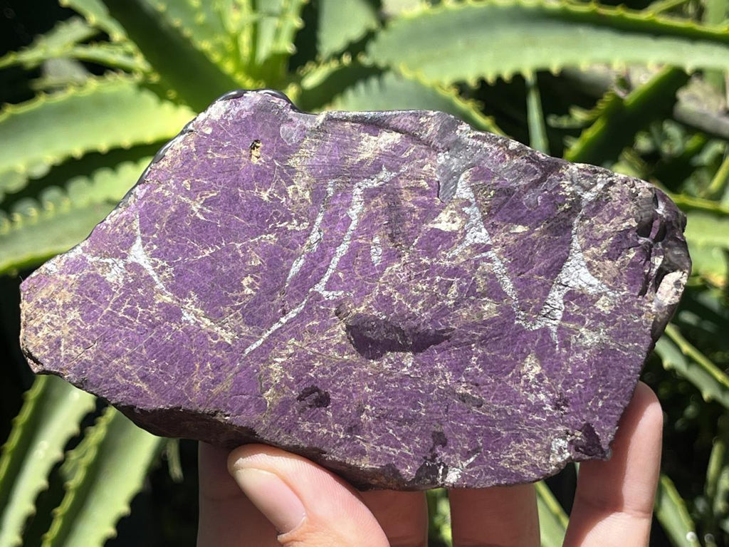 Polished Metallic Sheen Purpurite Specimen x 1 From Erongo, Namibia