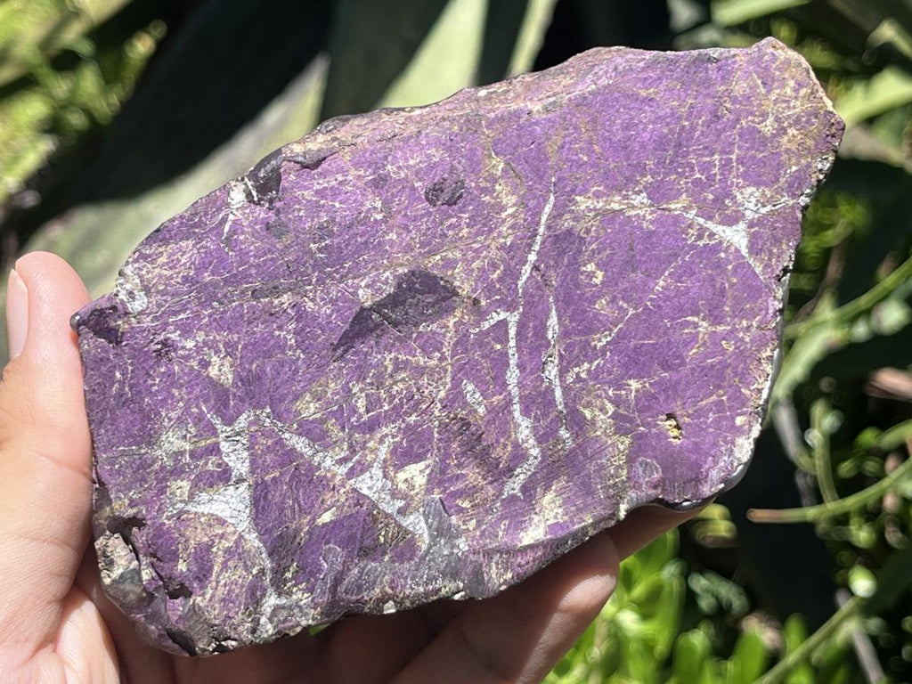 Polished Metallic Sheen Purpurite Specimen x 1 From Erongo, Namibia