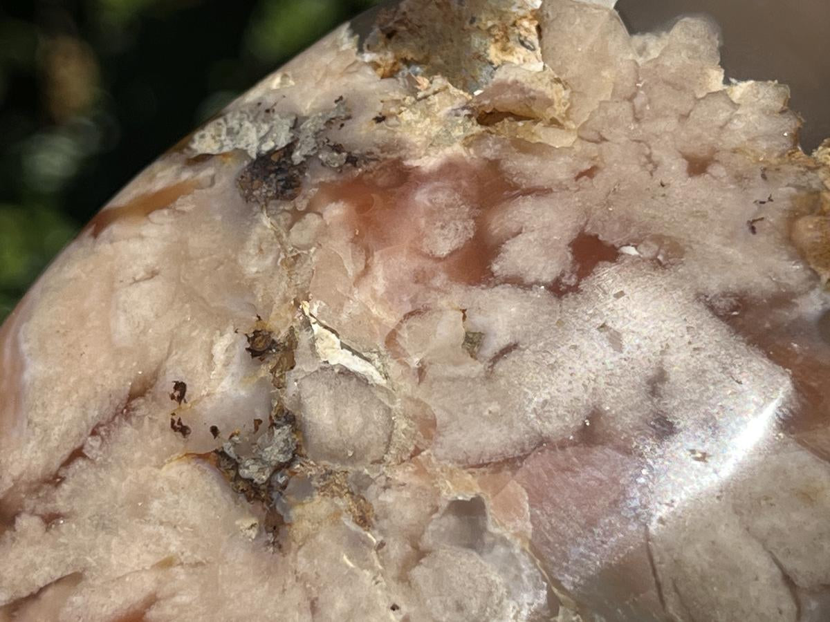 Polished Coral Flower Agate Display Piece x 1 From Maintirano, Madagascar