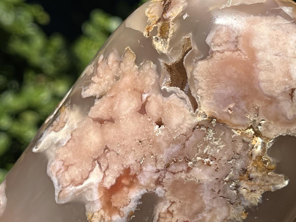 Polished Coral Flower Agate Display Piece x 1 From Maintirano, Madagascar