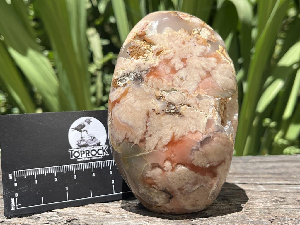 Polished Coral Flower Agate Display Piece x 1 From Maintirano, Madagascar