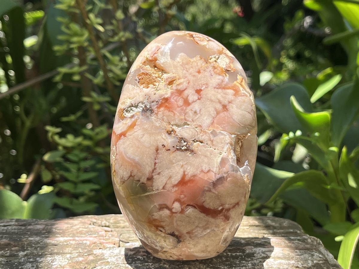 Polished Coral Flower Agate Display Piece x 1 From Maintirano, Madagascar