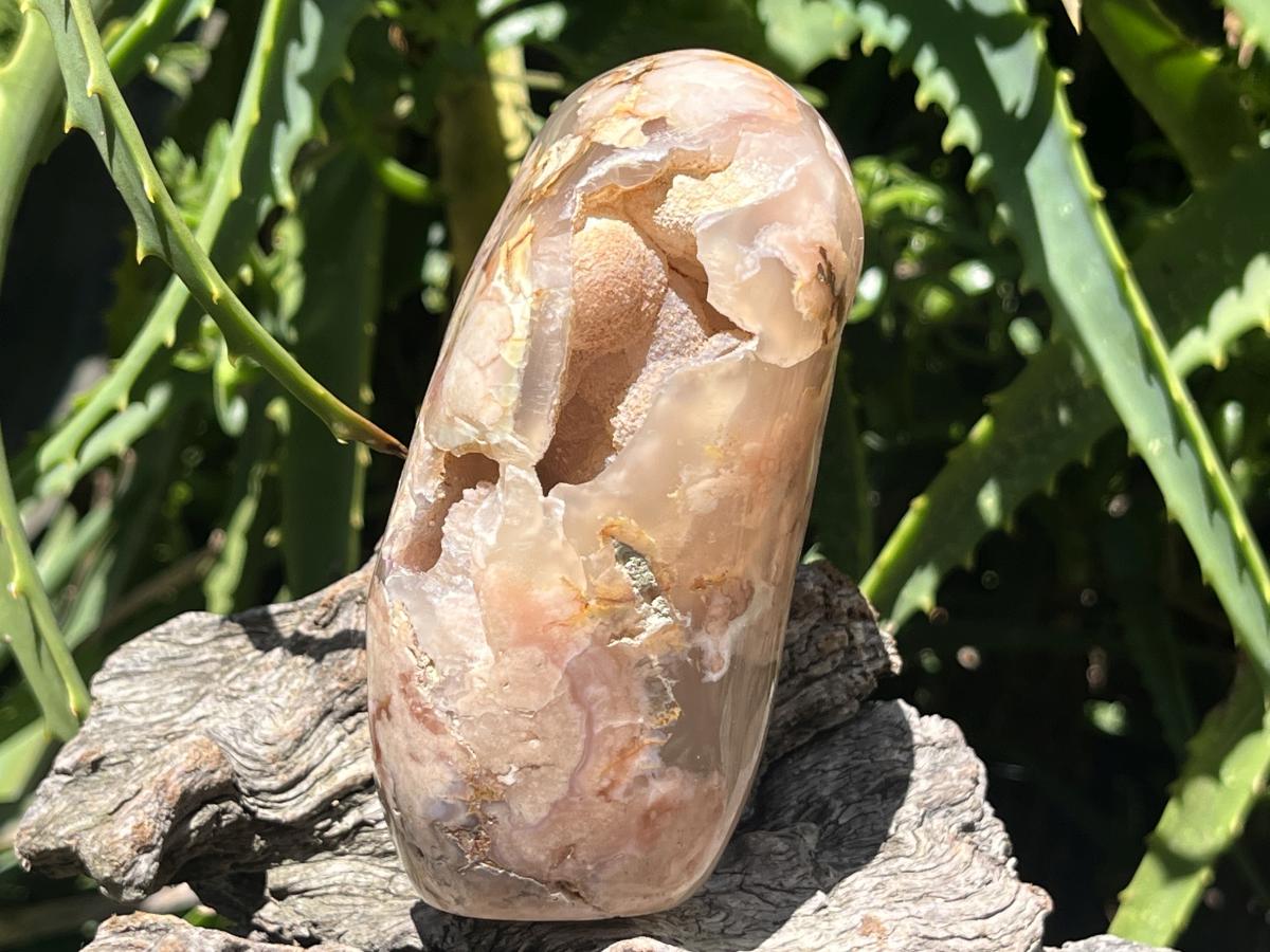 Polished Coral Flower Agate Display Piece x 1 From Maintirano, Madagascar