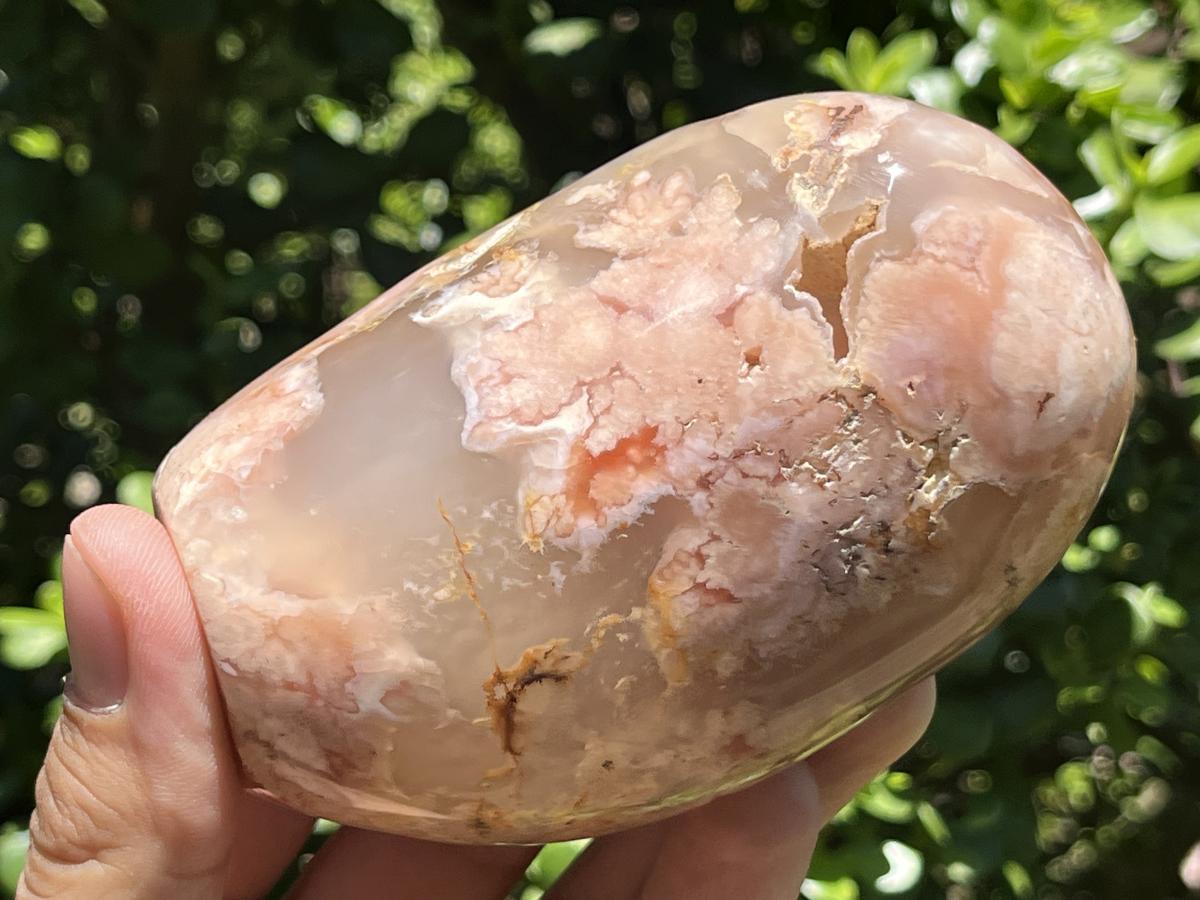 Polished Coral Flower Agate Display Piece x 1 From Maintirano, Madagascar