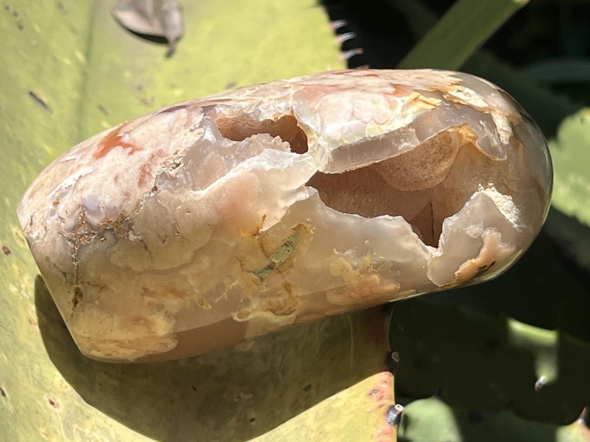 Polished Coral Flower Agate Display Piece x 1 From Maintirano, Madagascar