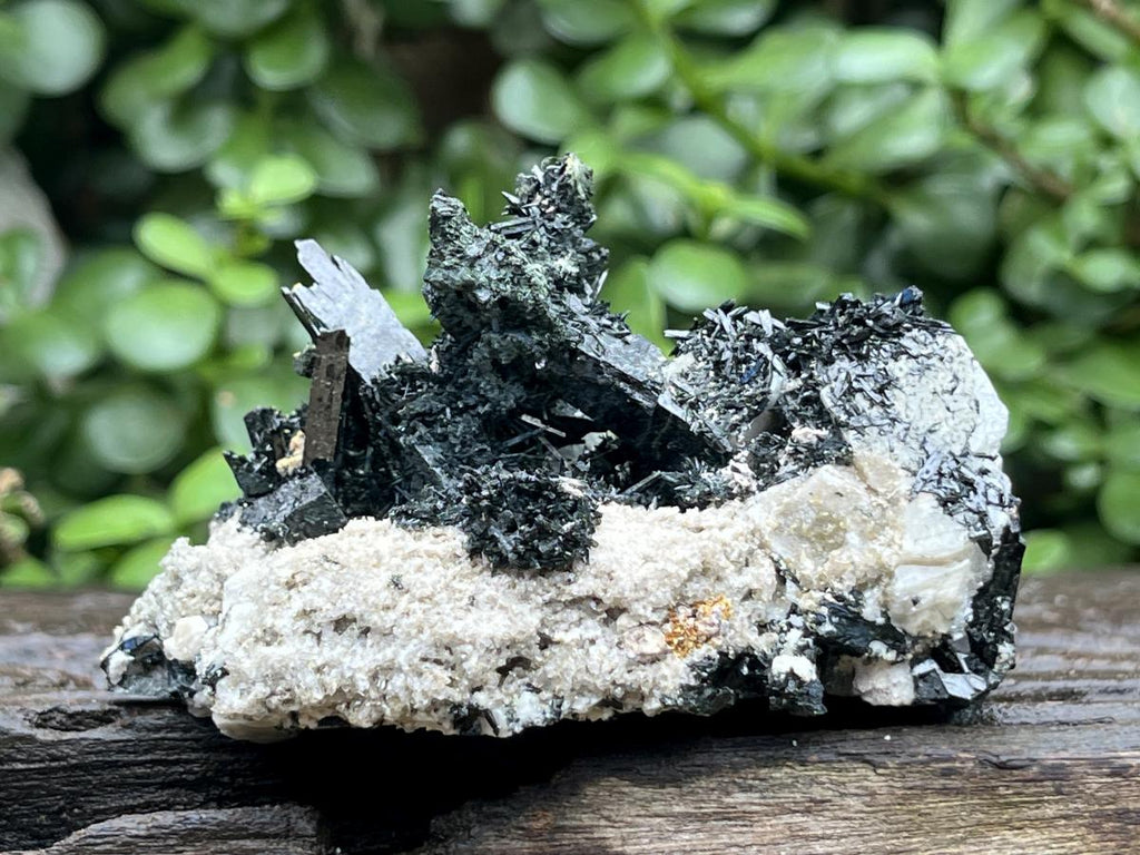 Natural Pitch Black Shiny Acicular Aegirine Specimen x 1 From Zomba, Malawi