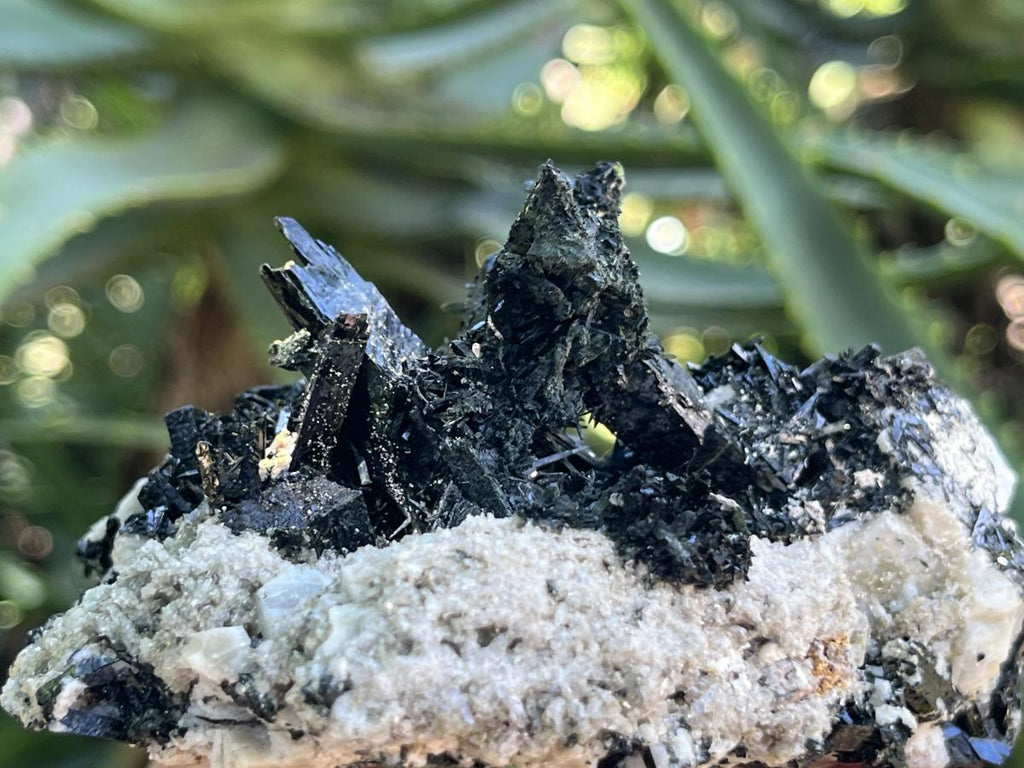 Natural Pitch Black Shiny Acicular Aegirine Specimen x 1 From Zomba, Malawi