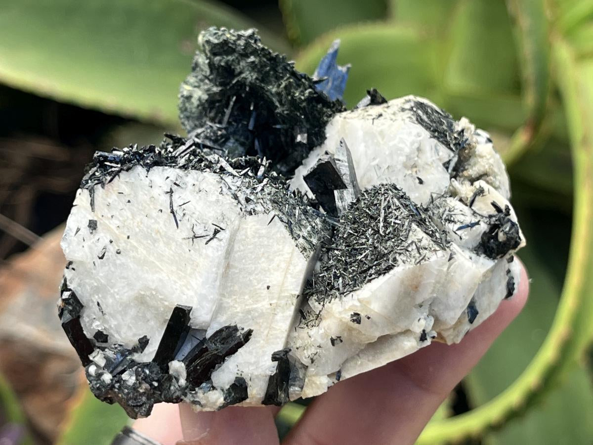 Natural Pitch Black Shiny Acicular Aegirine Specimen x 1 From Zomba, Malawi