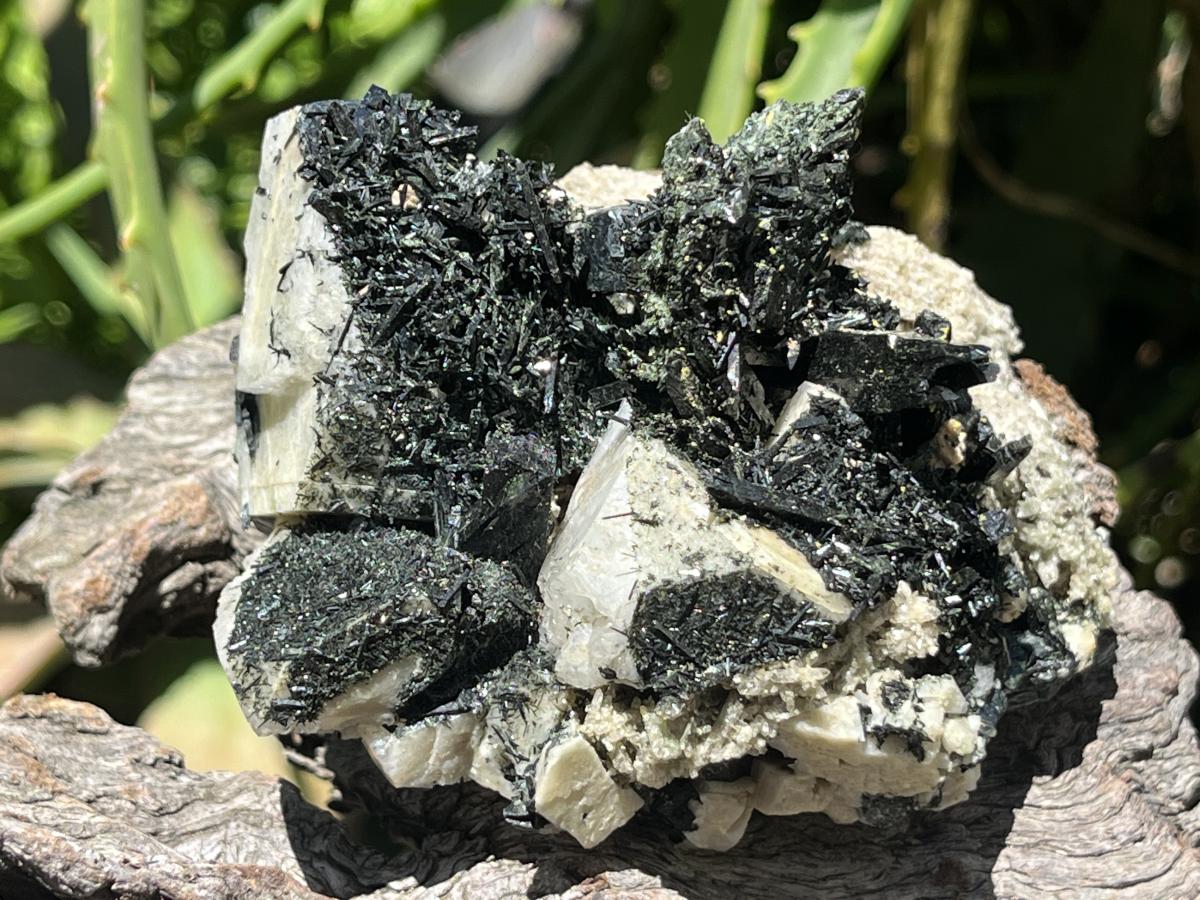 Natural Pitch Black Shiny Acicular Aegirine Specimen x 1 From Zomba, Malawi